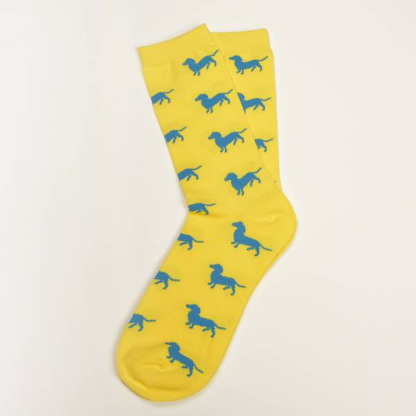 Gelbe Socken, Dackel in Blau