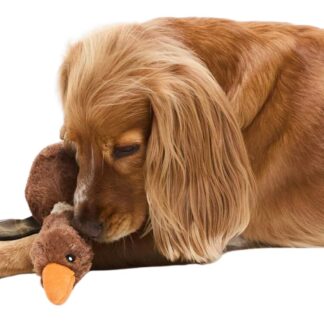 Barbour Hundespielzeug Ente