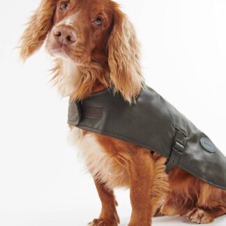 Für Hund & Hundeführer