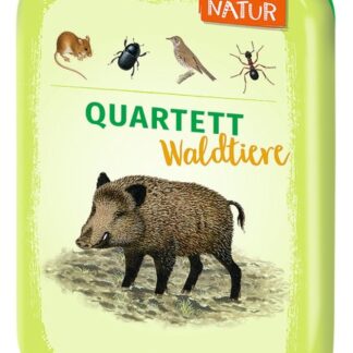 Dominicus Moses Quartett Waldtiere