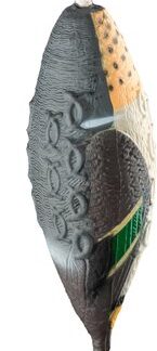 Dominicus HP&G Apportdummy Krickente