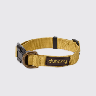 Dubarry Apollo Nylon Hundehalsband Gold